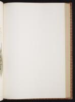 Monograph of the Trochilidae, 1:388