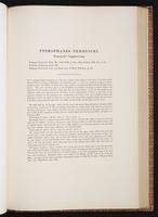 Monograph of the Trochilidae, 1:384