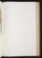 Monograph of the Trochilidae, 1:358