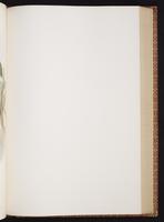 Monograph of the Trochilidae, 1:334