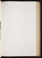 Monograph of the Trochilidae, 1:292