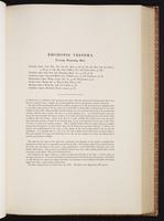 Monograph of the Trochilidae, 1:240