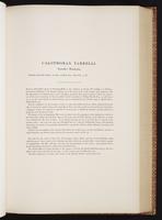 Monograph of the Trochilidae, 1:228