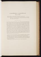 Monograph of the Trochilidae, 1:166