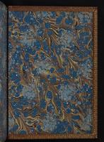 Monograph of the Trochilidae, 1:464