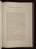 Monograph of the Trochilidae, 1:458