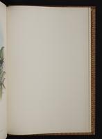 Monograph of the Trochilidae, 1:456