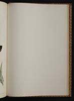 Monograph of the Trochilidae, 1:450