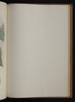 Monograph of the Trochilidae, 1:438