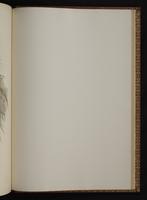 Monograph of the Trochilidae, 1:432