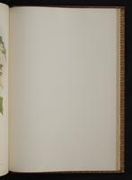 Monograph of the Trochilidae, 1:426