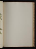 Monograph of the Trochilidae, 1:420