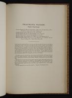Monograph of the Trochilidae, 1:416