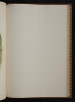 Monograph of the Trochilidae, 1:414