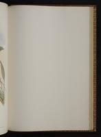 Monograph of the Trochilidae, 1:408