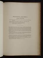 Monograph of the Trochilidae, 1:398