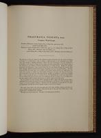 Monograph of the Trochilidae, 1:392