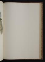 Monograph of the Trochilidae, 1:390