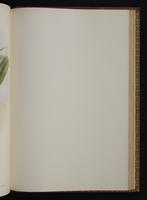 Monograph of the Trochilidae, 1:384