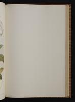 Monograph of the Trochilidae, 1:372