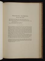 Monograph of the Trochilidae, 1:362