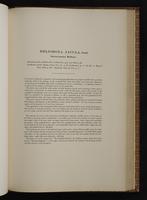 Monograph of the Trochilidae, 1:326