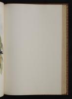 Monograph of the Trochilidae, 1:324