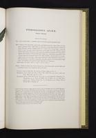 Monograph of the Ramphastidae, 1s:52