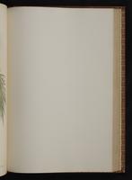 Monograph of the Trochilidae, 1:318