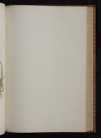 Monograph of the Trochilidae, 1:312