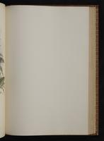 Monograph of the Trochilidae, 1:306