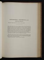 Monograph of the Trochilidae, 1:302