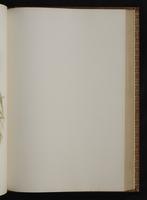 Monograph of the Trochilidae, 1:300