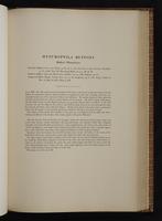 Monograph of the Trochilidae, 1:296