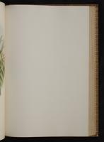 Monograph of the Trochilidae, 1:294