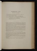 Monograph of the Trochilidae, 1:278