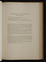 Monograph of the Trochilidae, 1:272