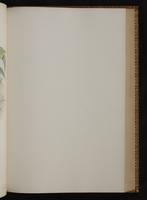 Monograph of the Trochilidae, 1:270