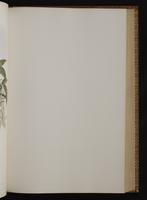 Monograph of the Trochilidae, 1:246