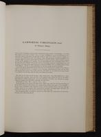 Monograph of the Trochilidae, 1:242