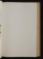 Monograph of the Trochilidae, 1:234