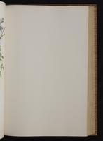 Monograph of the Trochilidae, 1:222