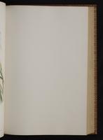 Monograph of the Trochilidae, 1:216