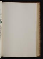 Monograph of the Trochilidae, 1:210