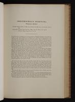 Monograph of the Trochilidae, 1:176