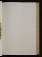 Monograph of the Trochilidae, 1:168