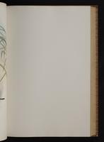 Monograph of the Trochilidae, 1:156