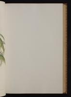 Monograph of the Trochilidae, 1:132