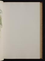 Monograph of the Trochilidae, 1:126