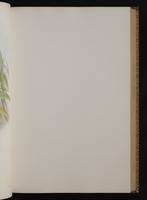 Monograph of the Trochilidae, 1:114